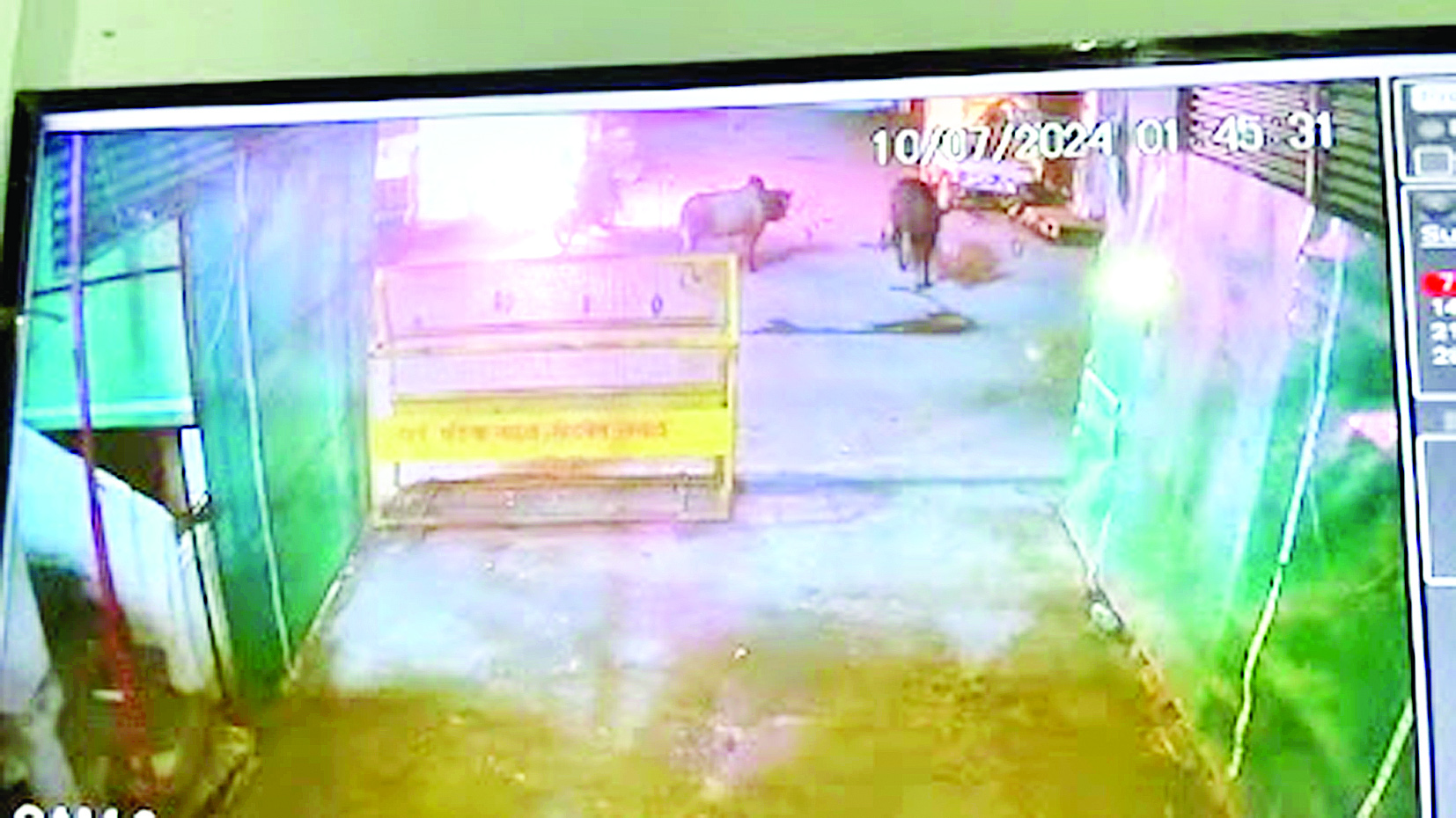 जेल प्रहरी के घर पर पेट्रोल बम से अटैक मामला सामने आया