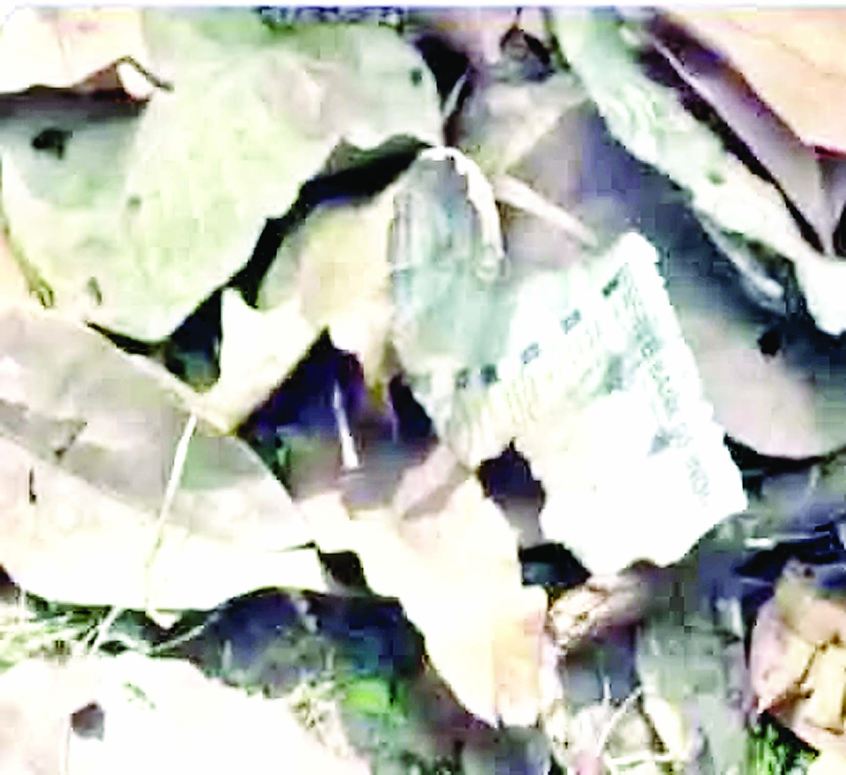 दिल्ली HC के जज यशवंत वर्मा के घर के पास कूड़े में जले हुए नोट मिले 