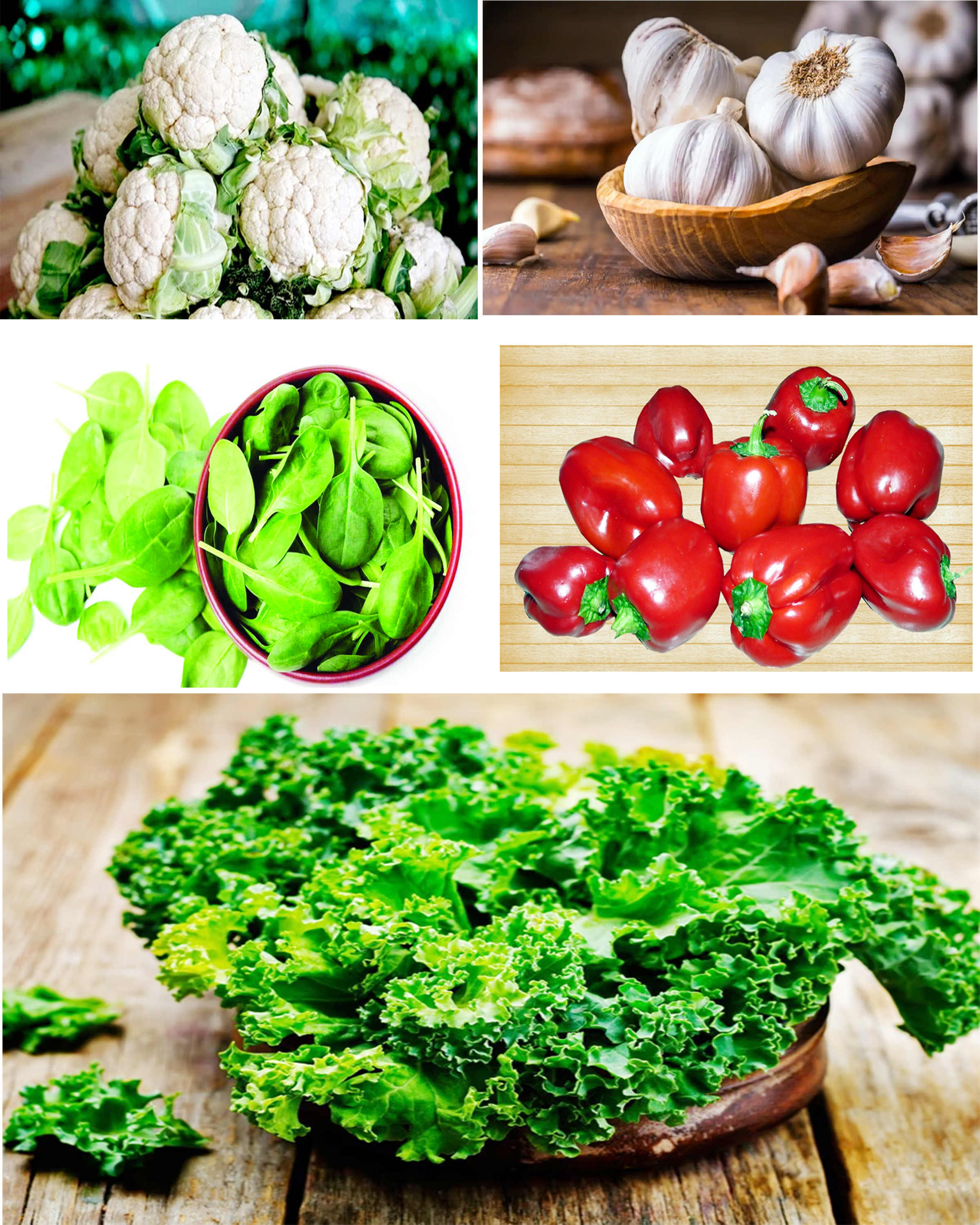 किडनी के अंदर फंसी गंदगी को खींच लाती हैं ये 5 सब्जियां, पथरी को कर देती है भस्म, खाते ही क्लीन होगा कूड़ा-कचरा