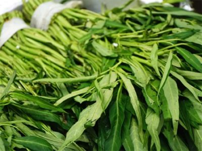 विटमिन और मिनरल्स का पावर हाउस है यह साग, सेहत का रखता है खास ख्याल, गंभीर बीमारियों की कर देता है छुट्टी