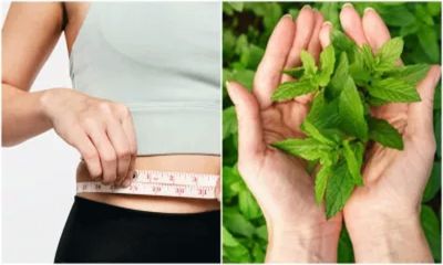 पुदीना जरूर करे उपयोग होगा वेटलॉस