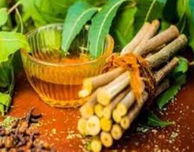 अच्छी ओरल हेल्थ के लिए सही दातुन का चुनाव जरूरी