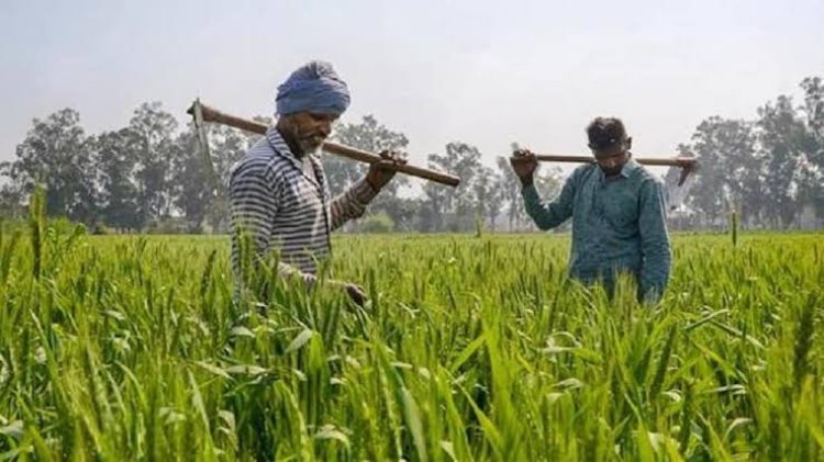 *किसान कार्ड : 30 मार्च तक किसानों को फार्मर आईडी बनवाना अनिवार्य, अब तक 56 हजार से ज्यादा किसानों का हुआ पंजीयन,फॉर्मर आईडी से कृषि योजनाओं सहित अन्य योजनाओं का मिलेगा सीधा फायदा* 